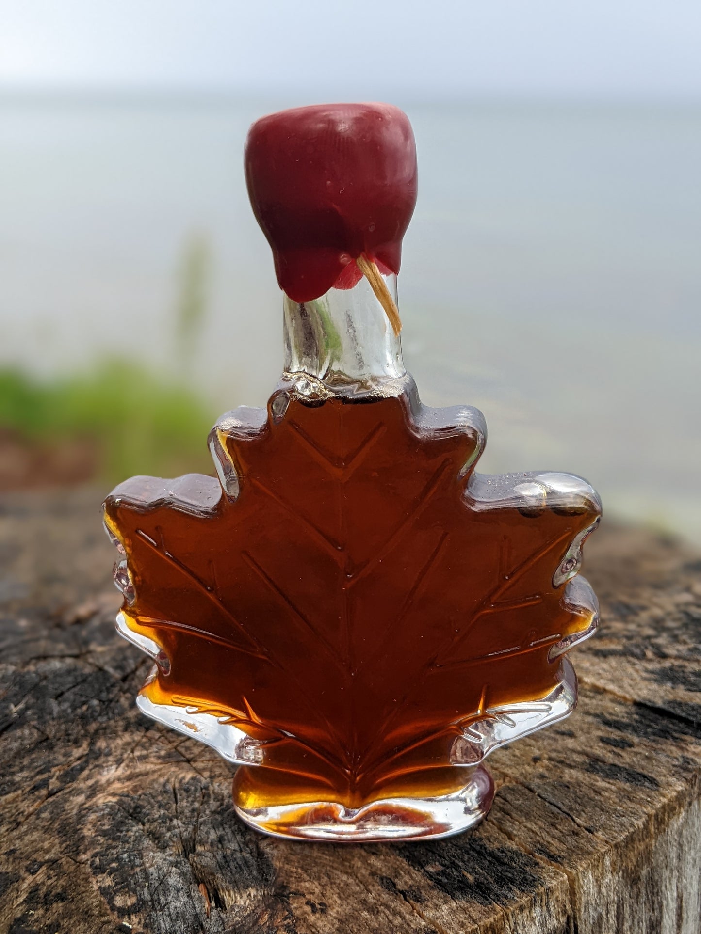 Maple Syrup Gift Jug - 100ml