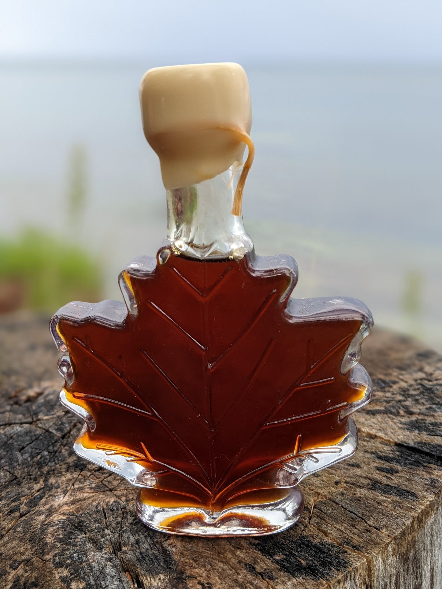 Maple Syrup Gift Jug - 100ml